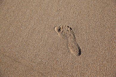 《观察与报告》登陆Steam 终极监控模拟游戏